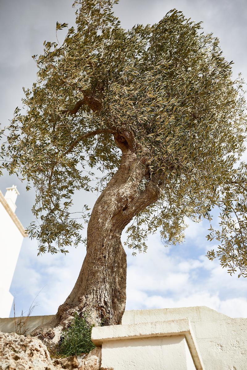 Masseria Calderisi Savelletri Esterno foto